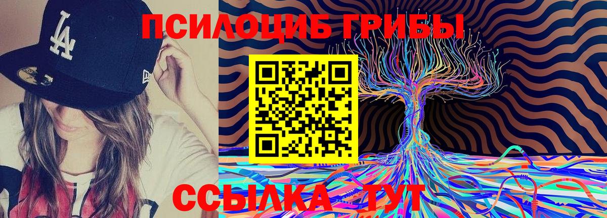 Псилоцибиновые грибы мухоморы Трёхгорный