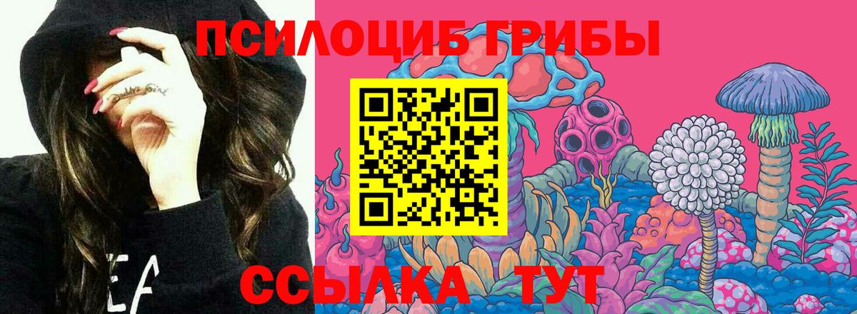 Псилоцибиновые грибы прущие грибы  что такое   Вход с VPN  Трёхгорный  Галлюциногенные грибы мицелий 